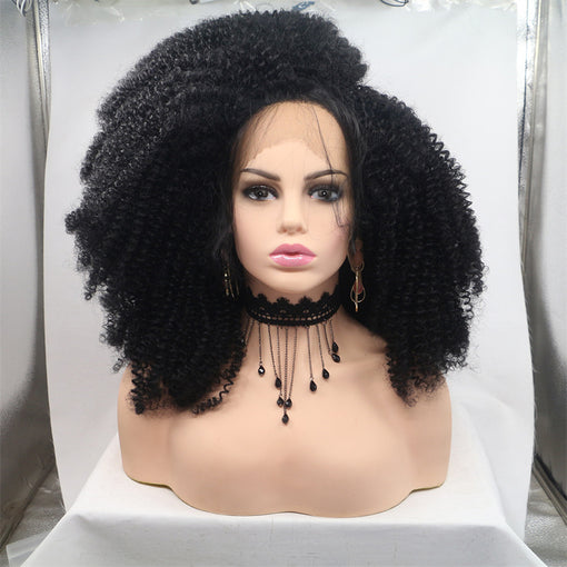 Black Afro Curly Long Lace Front High Heat Resistant Fiber Synthetic Hair Wigs [ILS5676]
