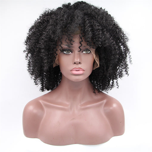 Black Afro Curly Long Lace Front High Heat Resistant Fiber Synthetic Hair Wigs [ILS5685]