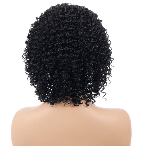 Short Black Curly Machine Made Synthetic Hair Wig