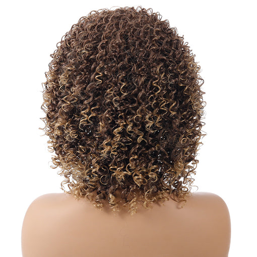 Short Light Brown Curly Machine Made Synthetic Hair Wig