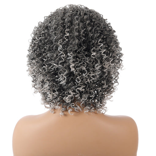 Short Grey Curly Machine Made Synthetic Hair Wig