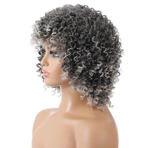 Short Grey Curly Machine Made Synthetic Hair Wig