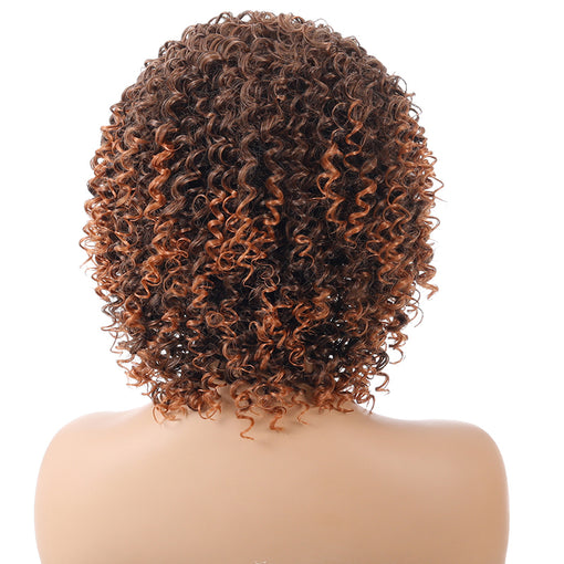 Short Brown Hightlight Curly Machine Made Synthetic Hair Wig