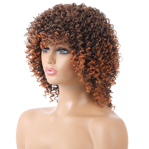 Short Brown Hightlight Curly Machine Made Synthetic Hair Wig
